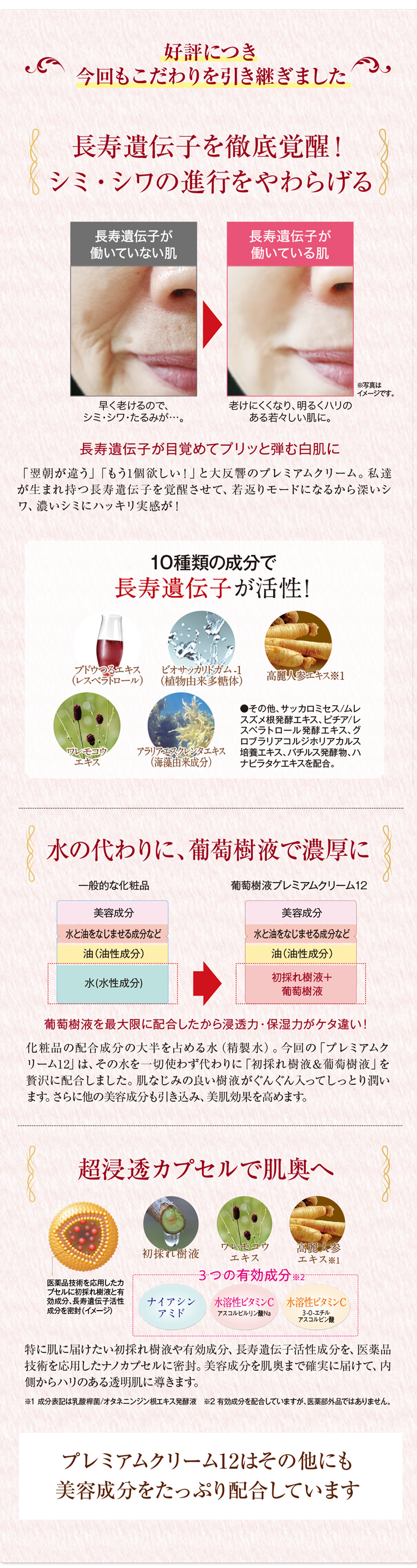 好評につき今回もこだわりを引き継ぎました