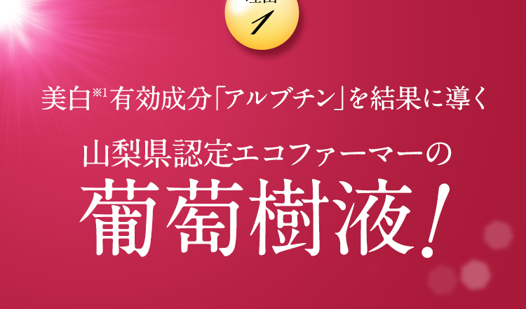 美白※1有効成分「アルブチン」を結果に導く　山梨県認定エコファーマーの葡萄樹液