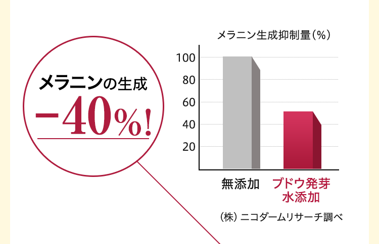 メラニンの生成-40%