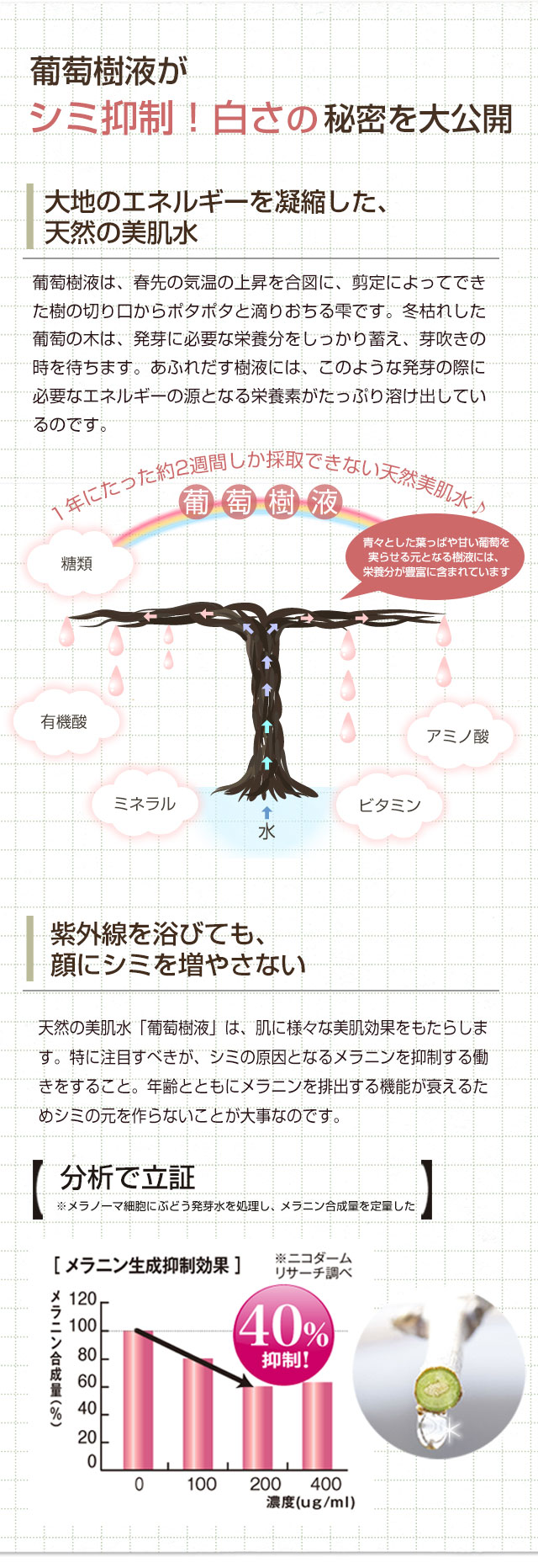 葡萄樹液がシミの原因となるメラニンを抑制！