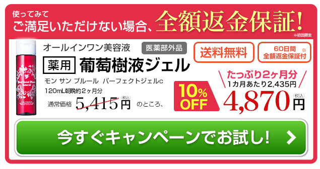 初回限定60日間全額返金保証付きキャンペーンでお試しする