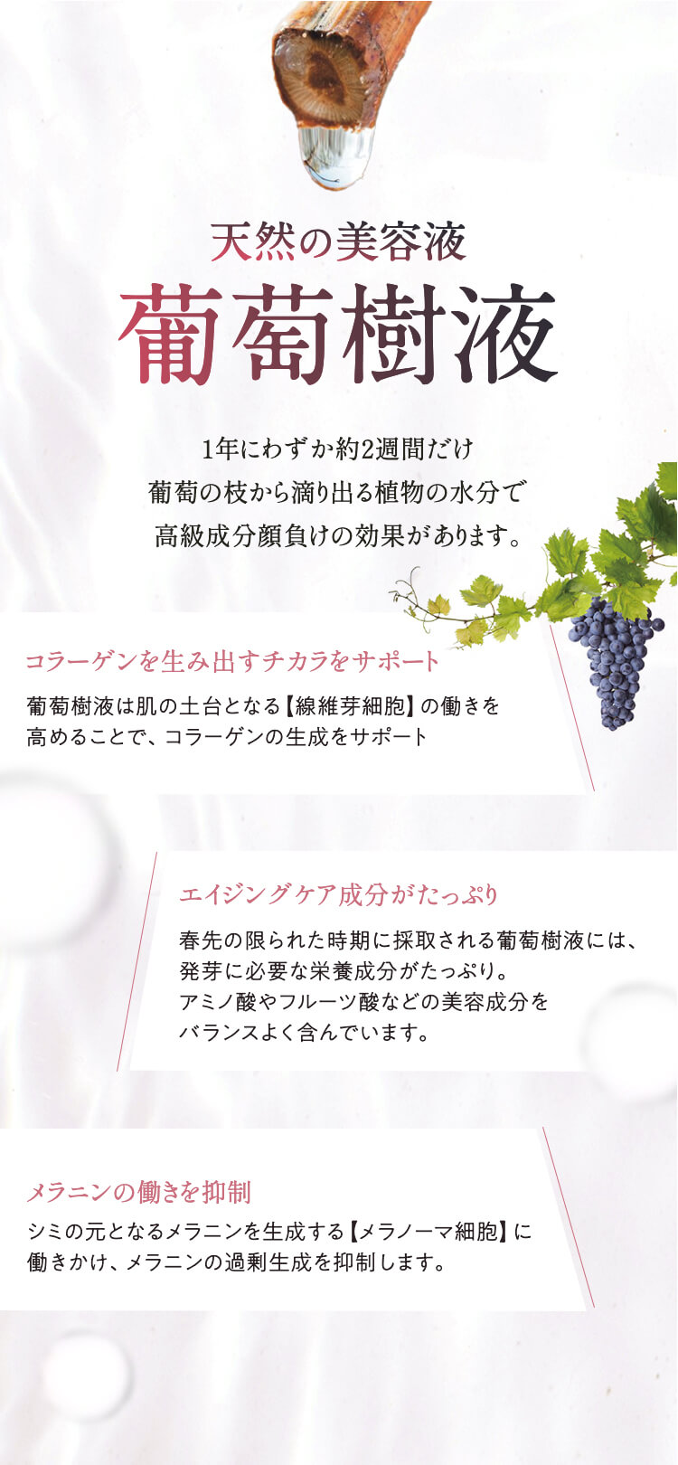 天然の美容液葡萄樹液