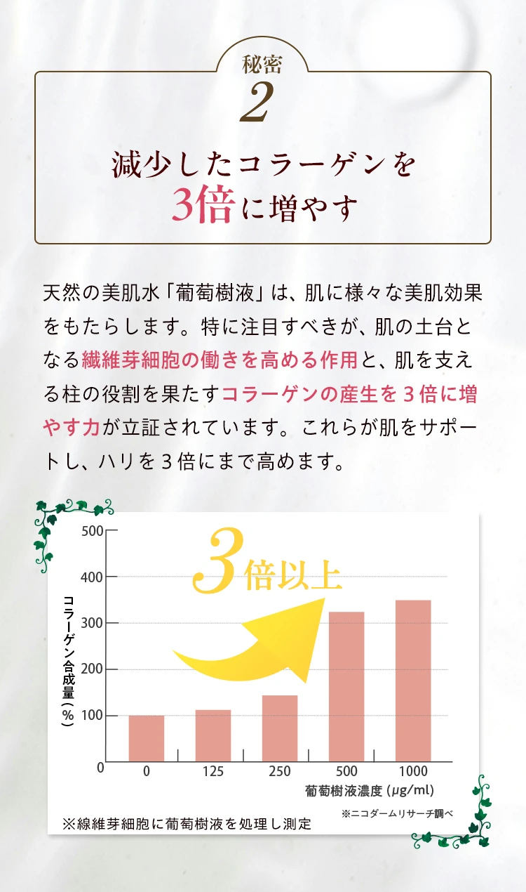 減少したコラーゲンを3倍に増やす