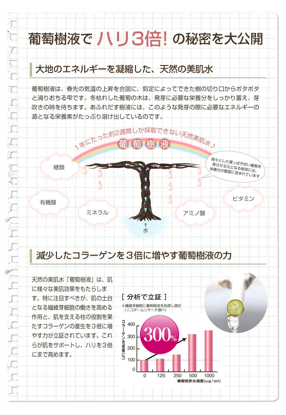 葡萄樹液でハリ3倍の秘密を大公開！