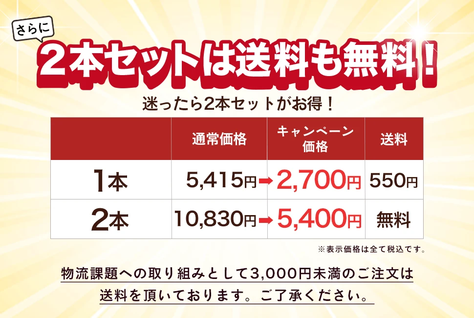 2本セットは送料も無料