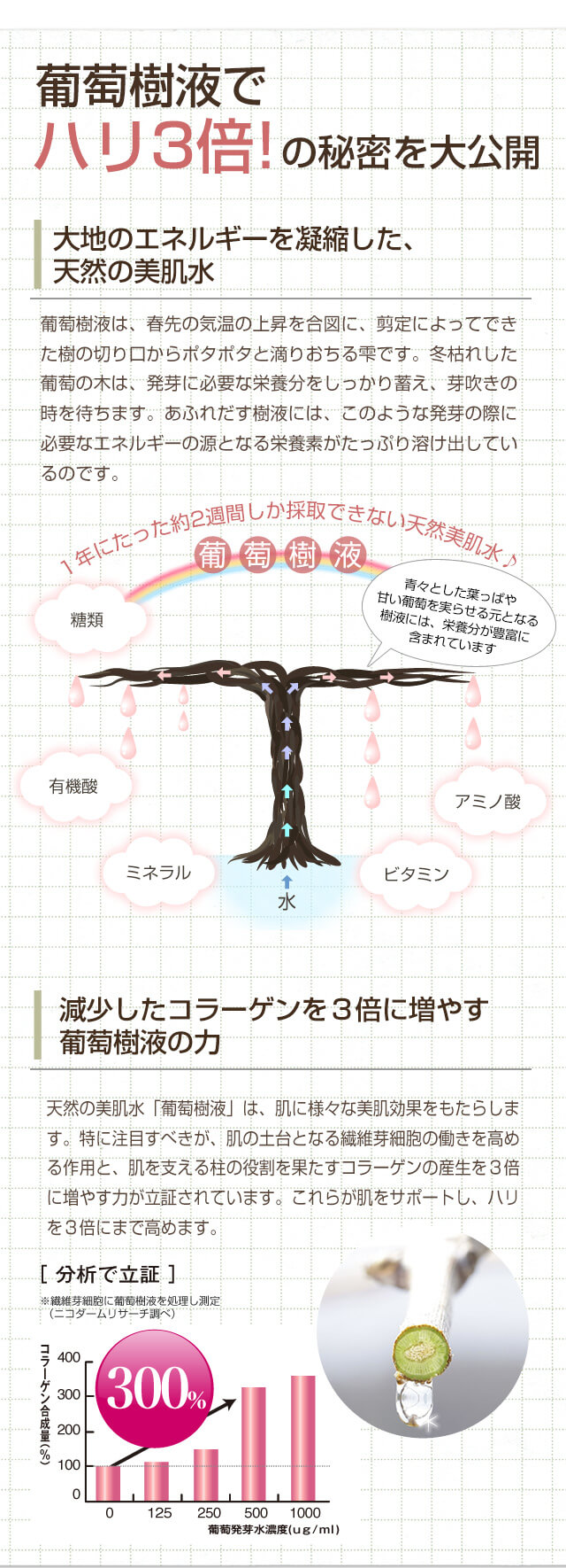 葡萄樹液でハリ3倍の秘密を大公開！