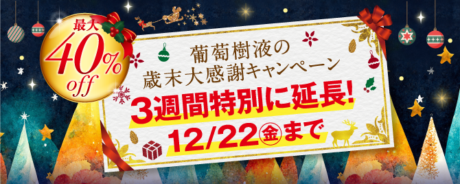 '2023年12月DMキャンペーン