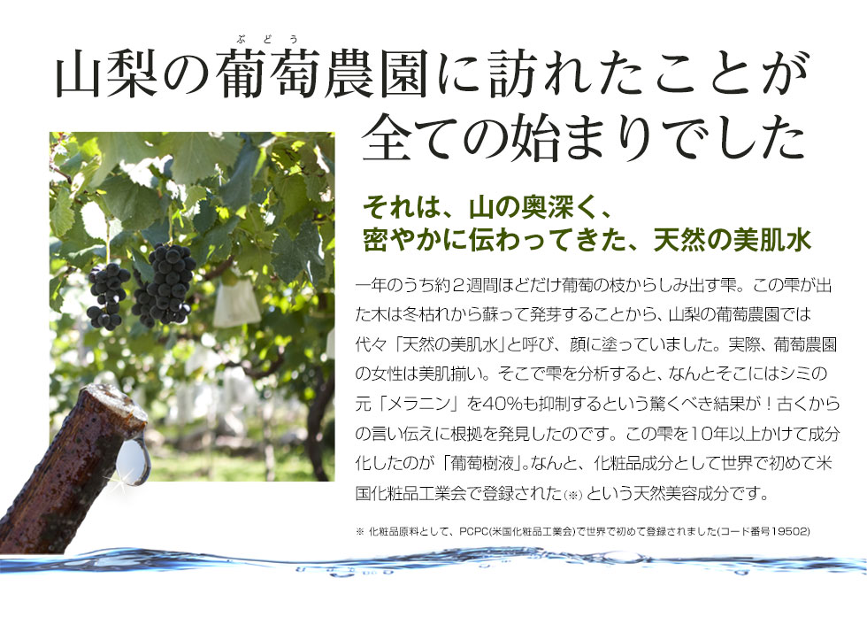 薬用 葡萄樹液ジェル商品ページ2