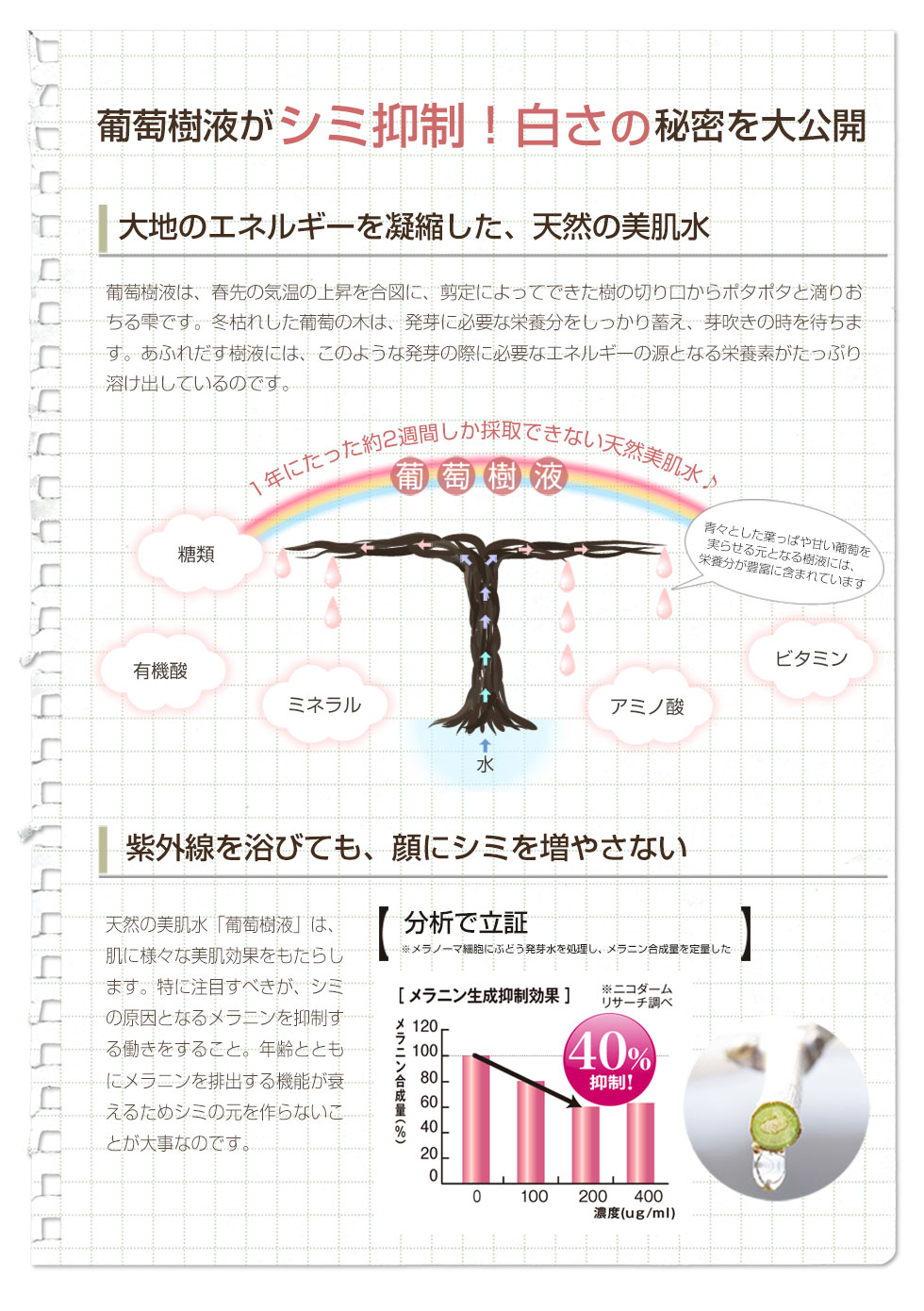 薬用 葡萄樹液ジェル商品ページ3