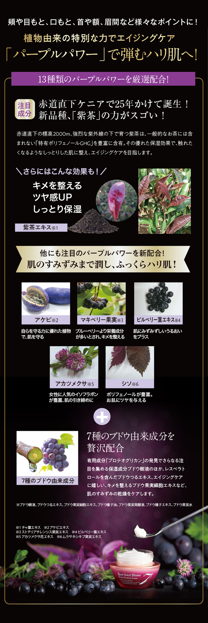 葡萄樹液プレミアムクリーム7商品ページ1