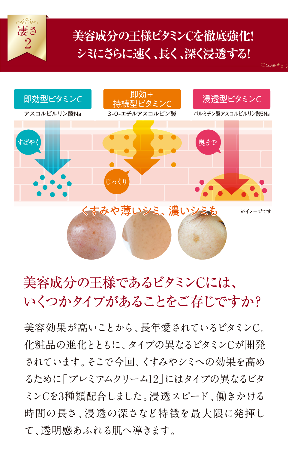 葡萄樹液プレミアムクリーム12商品ページ3