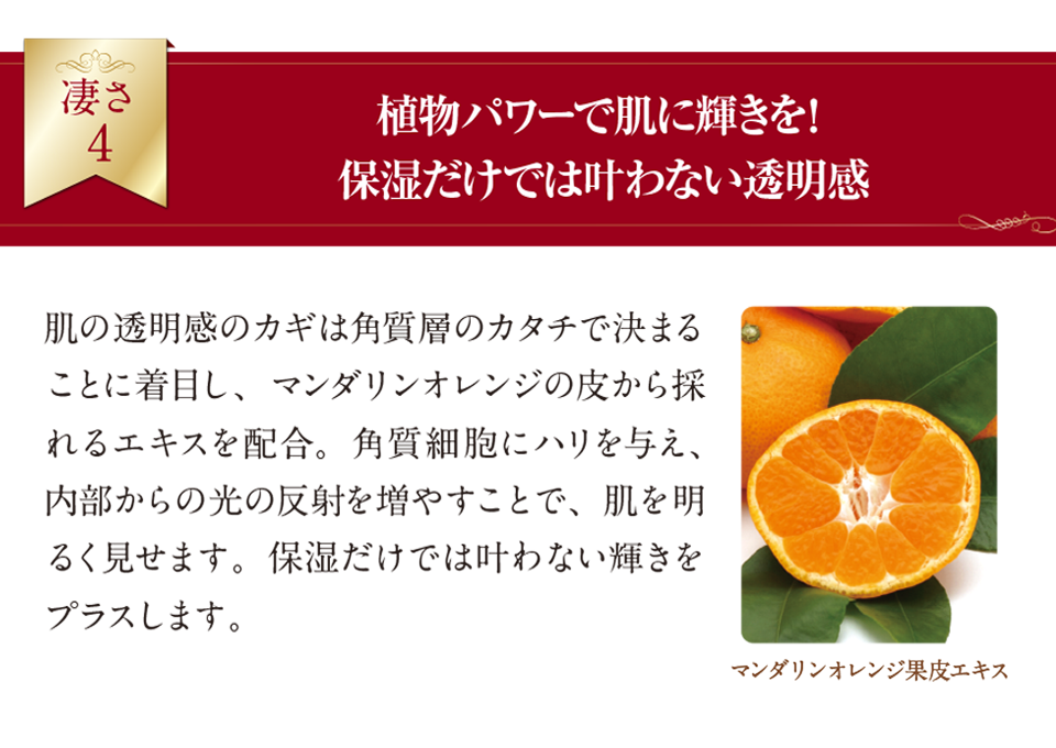 葡萄樹液プレミアムクリーム12商品ページ5