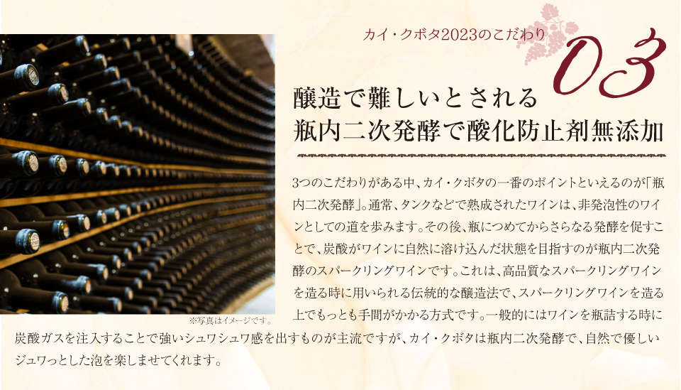 商品ページ_カイクボタ_04